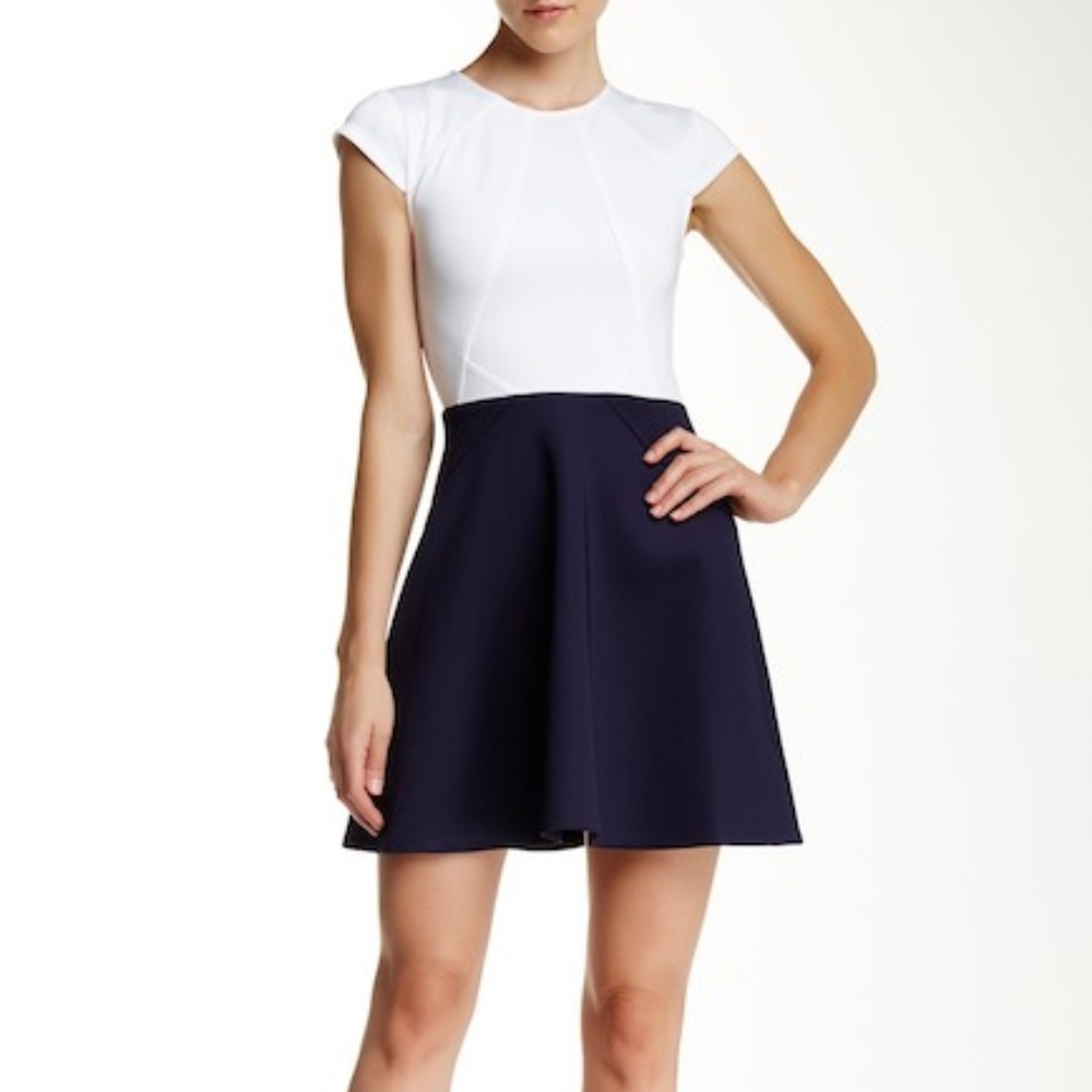 [Ted Baker London] ✨ Navy & White Fit/Flare Dress